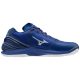 Mizuno Wave Stealth Neo Reflex kézilabda cipő